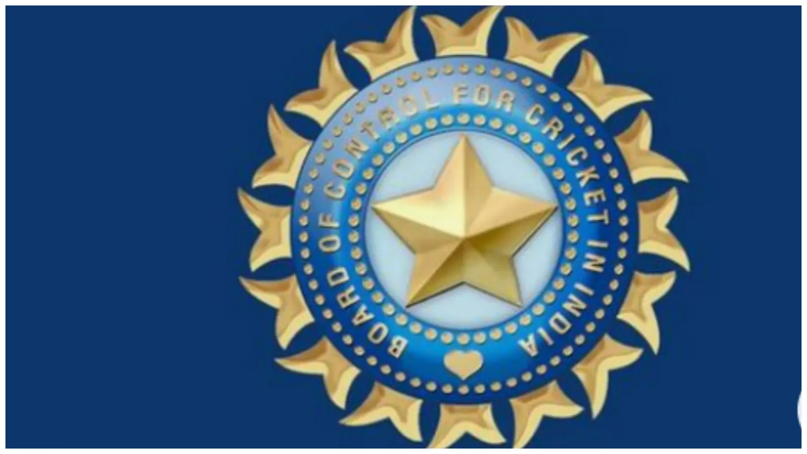 BCCI Net Worth and Annual Income in 2024