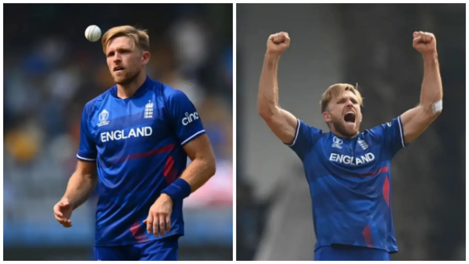 David Willey IPL 2024 Price, Net Worth, Annual Income, Sponsors, Cars, Houses, Properties, Charities, Etc.